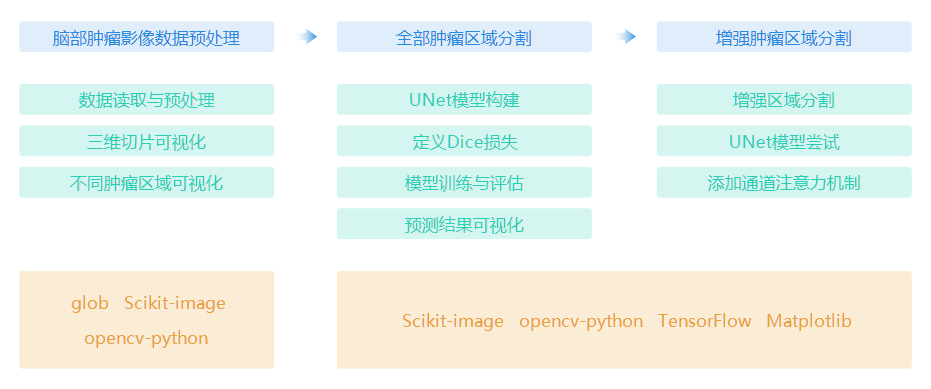 数据实验楼脑肿瘤智能诊断项目项目流程.png