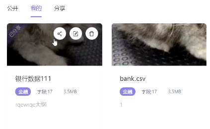 爱数科平台升级数据集模块新功能介绍29.png