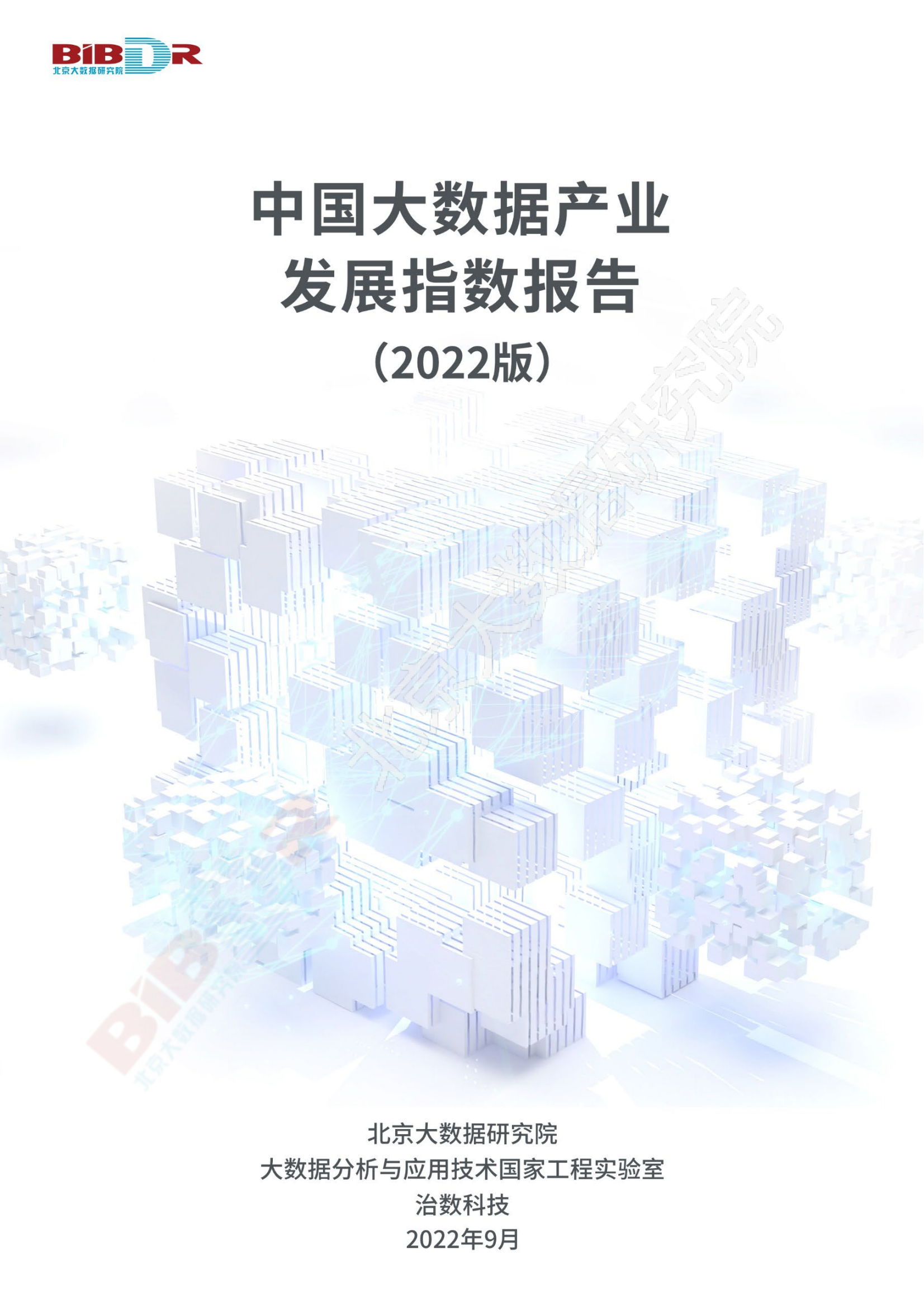 2022中国大数据产业发展指数报告_00.png