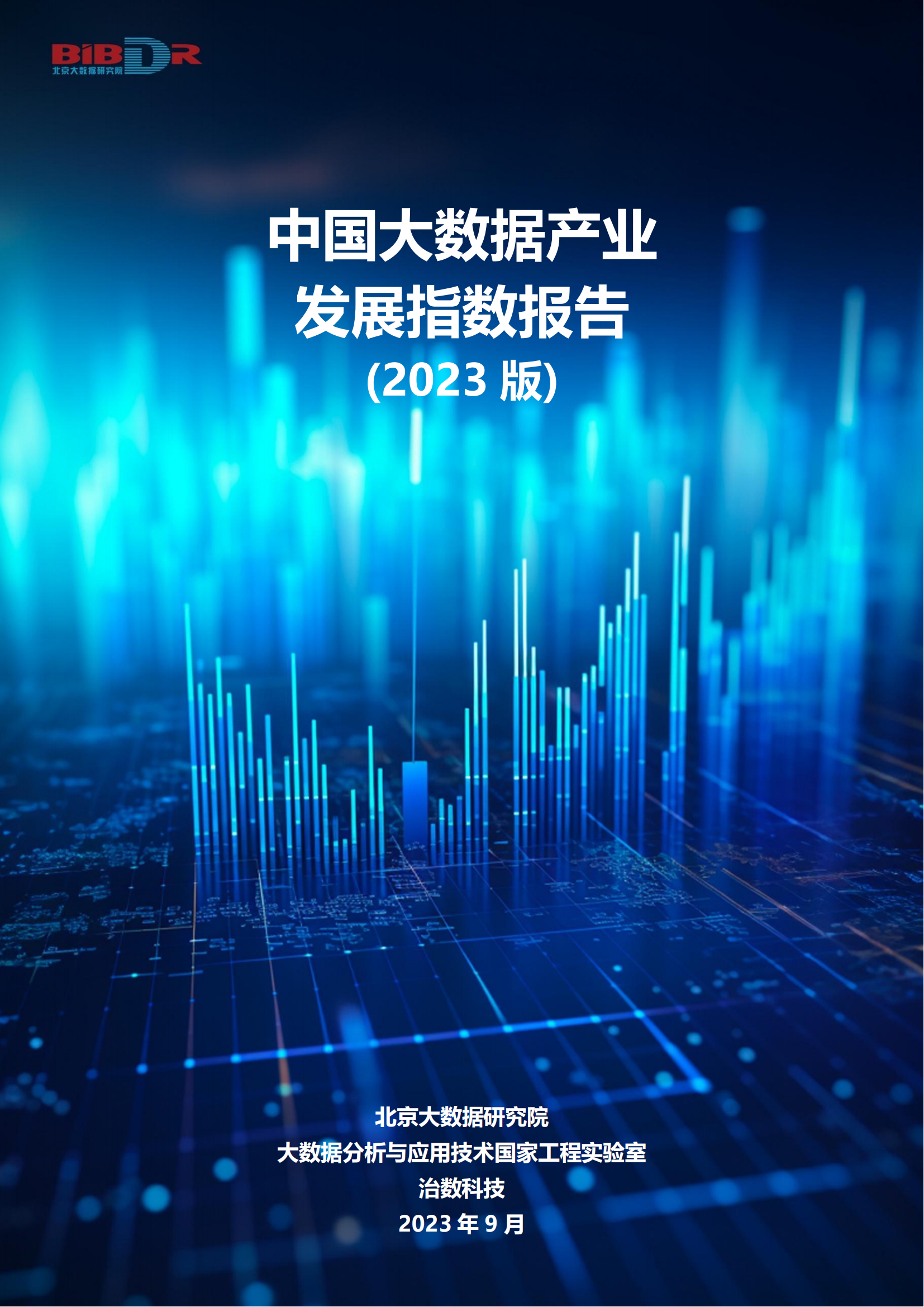 2023中国大数据产业发展指数报告_00.png