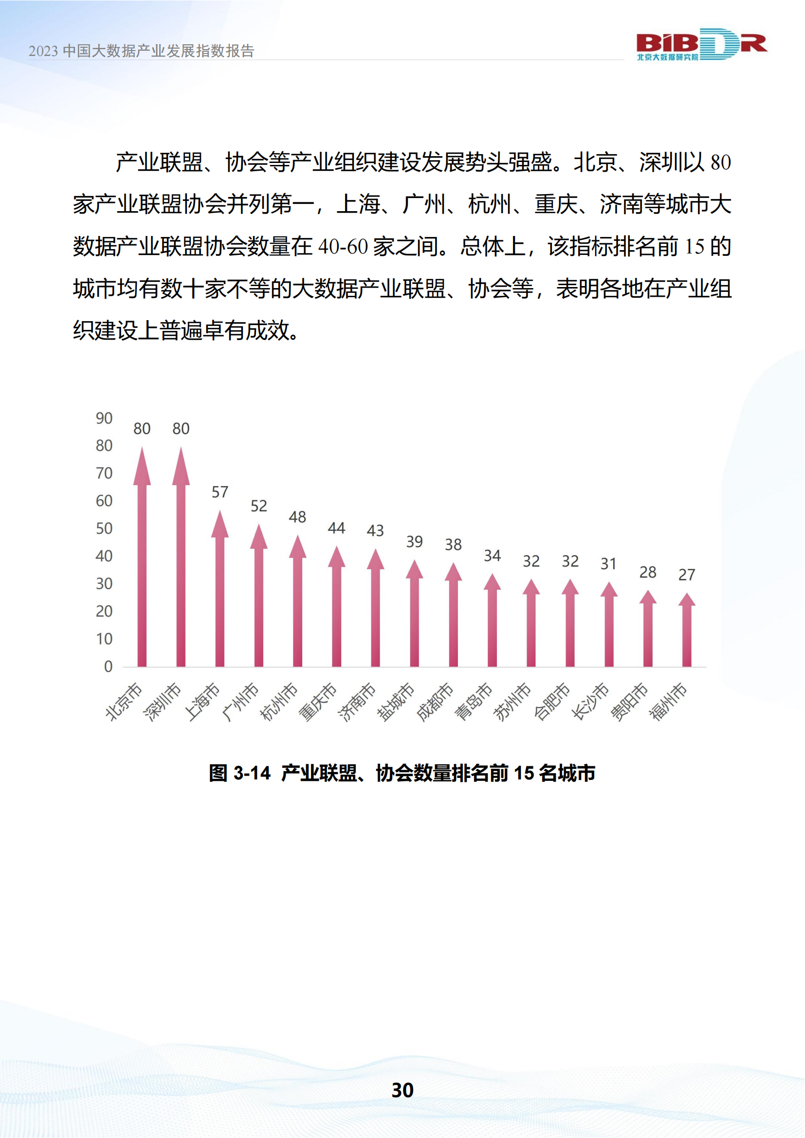 2023中国大数据产业发展指数报告_33.png